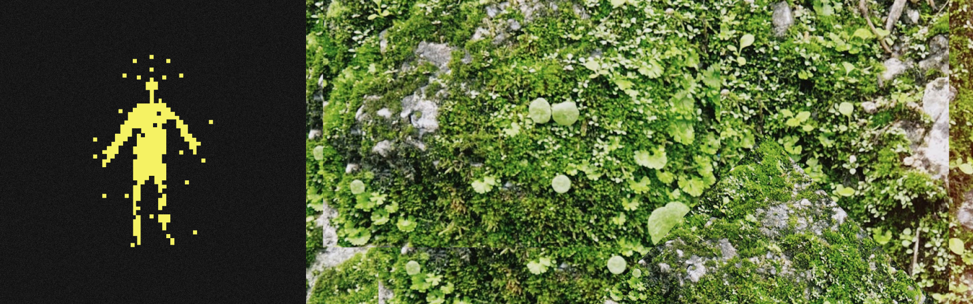 View Time Ghost Releases