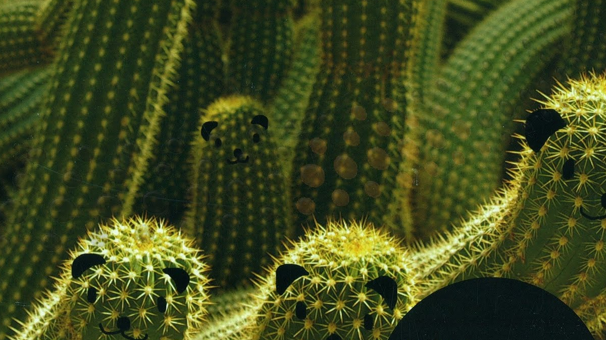 Cover for Luke Vibert - We Hear You. A photograph of cacti with panda faces drawn on them.