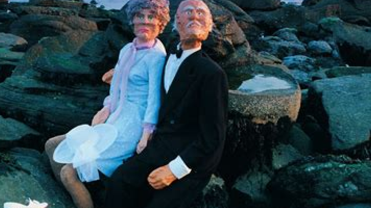 The soft boys album cover. Two puppets sit on a rock.
